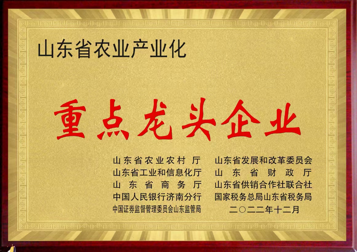重点龙头企业